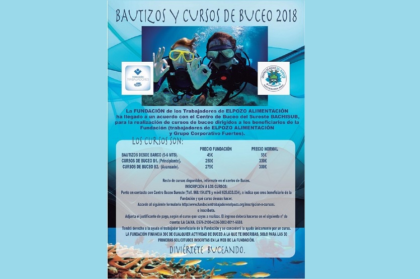 Buceo web